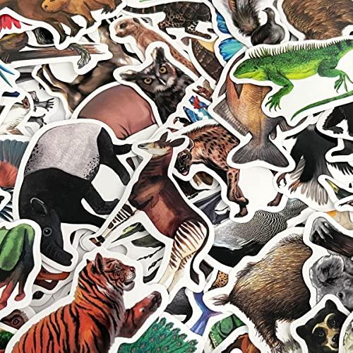 allydrew allydrew Waterproof Vinyl Stickers for Water Bottles, Laptop, Phones, Skateboards, Decals for Teens, 80pcs, Safari Animals