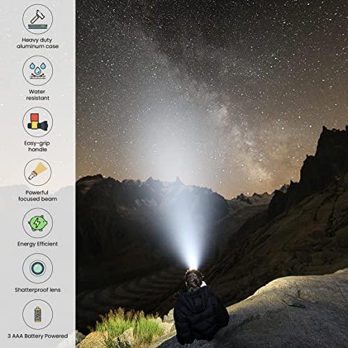 Go Green Power Inc. GoGreen Power GG-113-24SV 28 LED Professional Flashlight