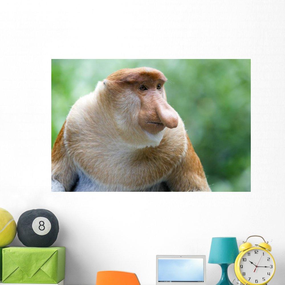 Vivitar Vivitar ViviCam S1527 16.1MP Digital Bridge Camera with 18x Optical Zoom