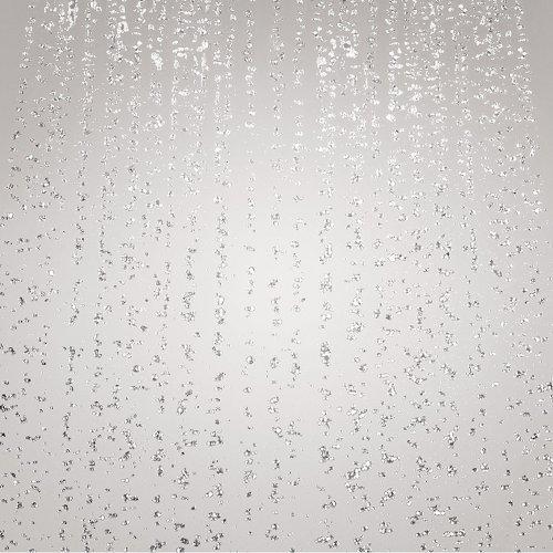 hansgrohe hansgrohe Raindance Classic Easy Install 5-inch Handheld Shower Head Classic 3 BalanceAir, Whirl, RainAir 28548921