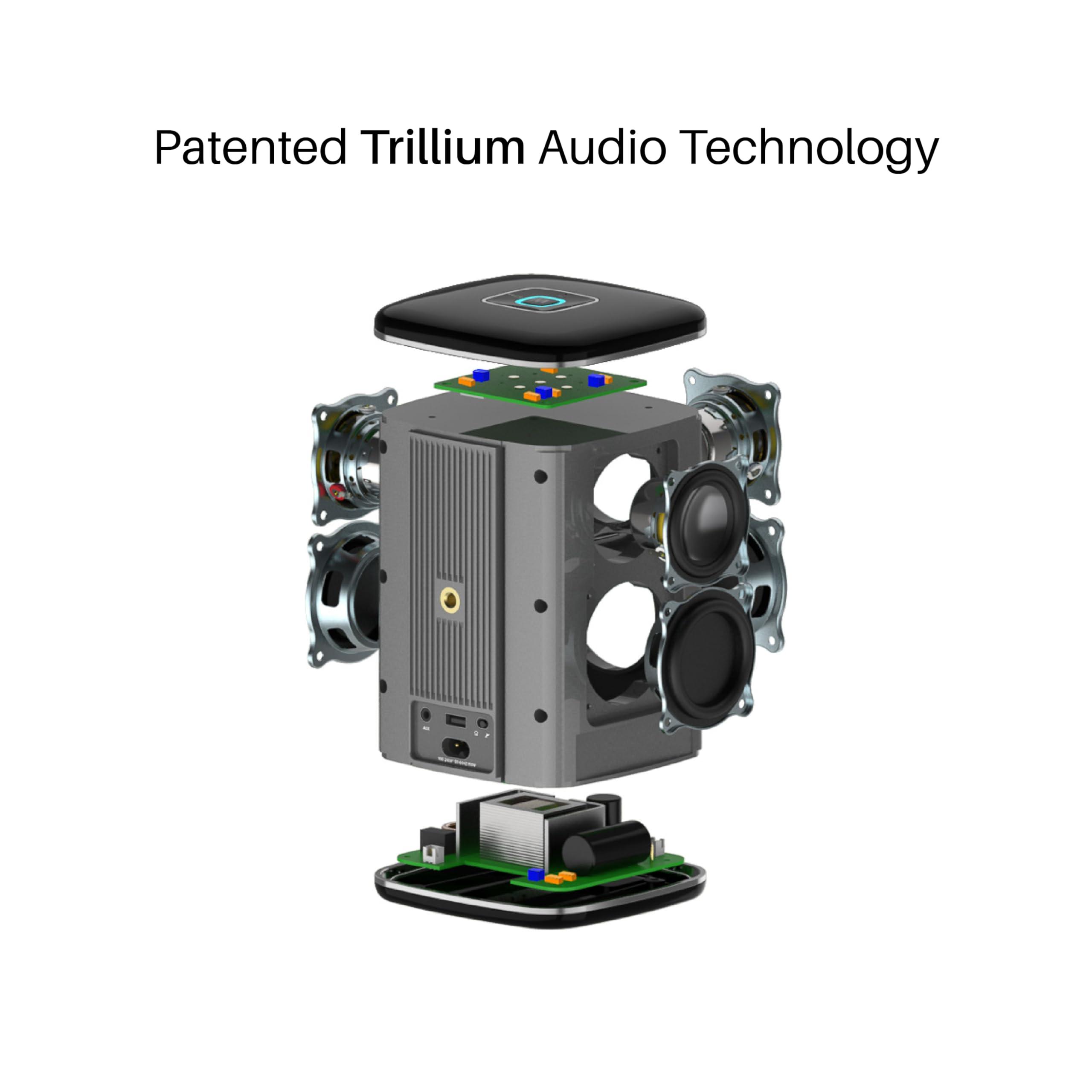 RIVA RIVA Upgraded Arena Wireless Smart Hi-Fi Speaker, 6 Drivers, 50W, Multiroom Music System, Support Airplay 2, Chromecast, Spotify Streaming, Wi-Fi, Bluetooth (Black)