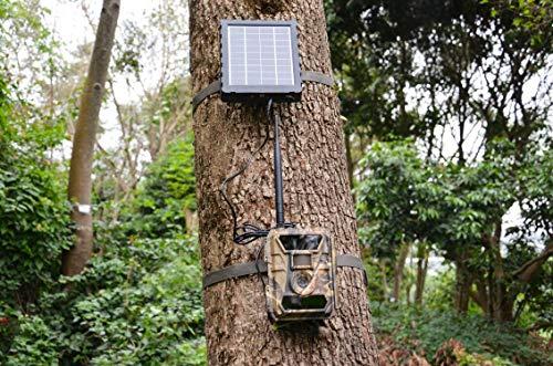 WingHome WingHome 6V Power Cable, Male to Male 5.5x2.1mm Plug