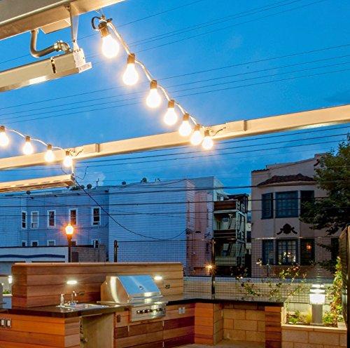 American Lighting American Lighting PG40-E17-WW-MASTER PG40-E17-WW Pro Decorative Lamp Collection 8-Pack Clear