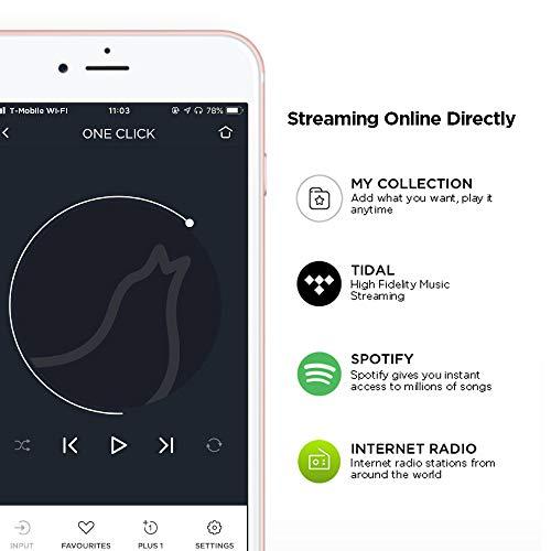 Libratone Libratone One Click Portable Bluetooth Speaker, Touch Control, 50W Powerful Sound, Streaming Online Music & Internet Radio, Preset 5 Favorite, IPX4 Waterproof, 12hours Playtime -Green