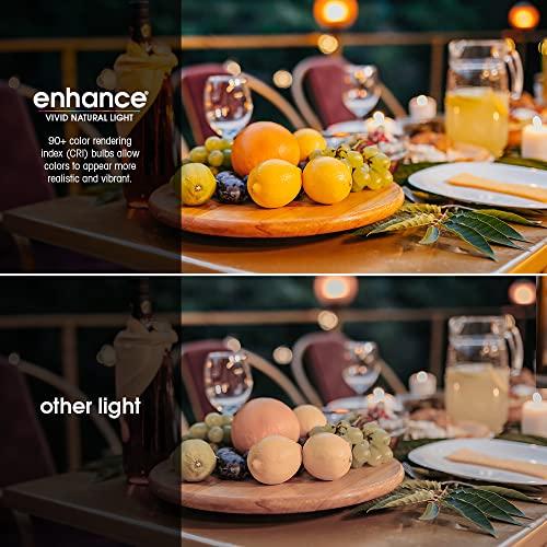 Feit Electric Feit Electric LED PAR38 Bulbs, 75W Equivalent, Non Dimmable, 5000k Daylight, 750 Lumens, 10 Year Lifetime, E26 Base, PAR38 Flood Lights, CRI 90, Damp Rated, 4 Pack, PAR38/950CA10K/MP/4