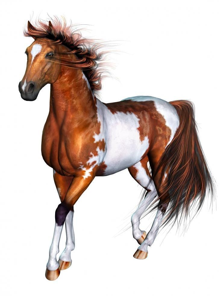 CyberPower CyberPower CP1000PFCLCDTAA PFC Sinewave UPS System, 1000VA/600W, 10 Outlets, AVR, Mini Tower, TAA Certified