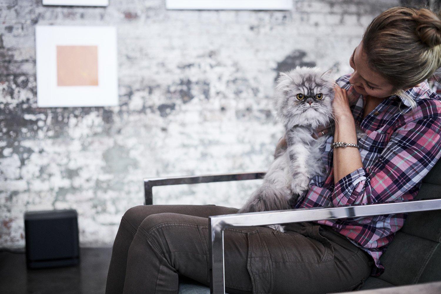 Bose Bose Bass Module 500 (Renewed)