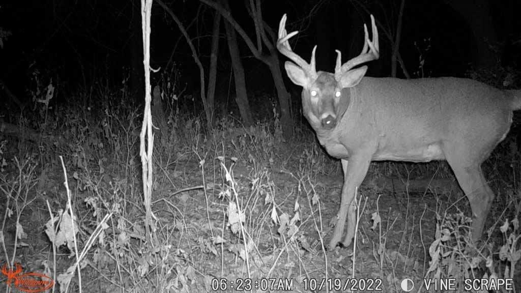 Wildgame Innovations Wildgame Innovations Kicker 16MP LIGHTSOUT