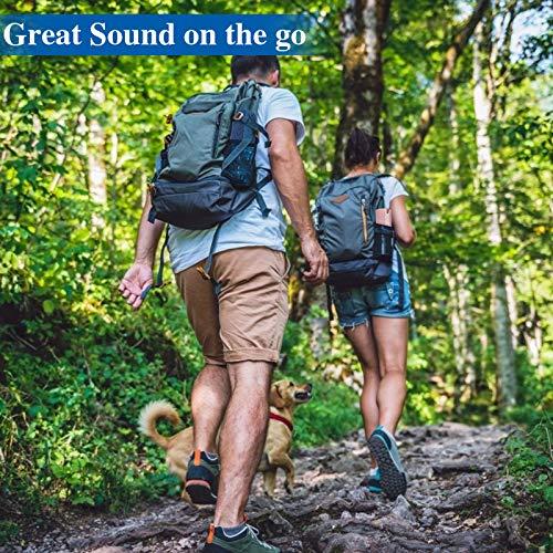 XENEO XENEO X21 Dual Portable Bluetooth Wireless Speakers Waterproof for Stereo Sound with FM Radio, Micro SD Card, Aux-in, IPX6, 30W for Outdoor, Home, Office, Party and Travel (Pink + Blue)