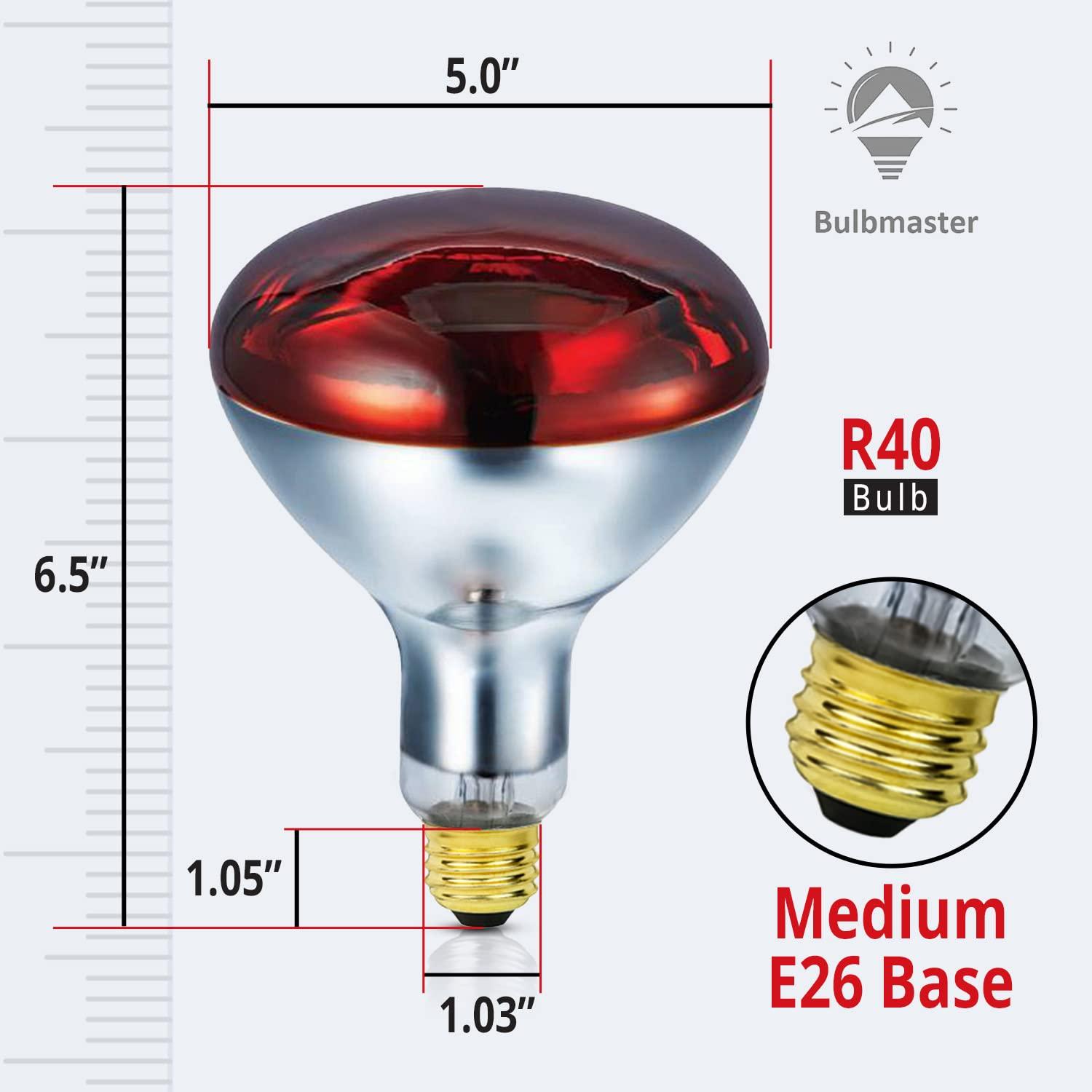 BULBMASTER BULBMASTER 250 Watts R40 Red Heat Lamps Outdoor Bulbs for Pets Flood Light Bulb for Chickens Infrared Reflector 250W R40 Incandescent Medium E26 Base 2 Pack