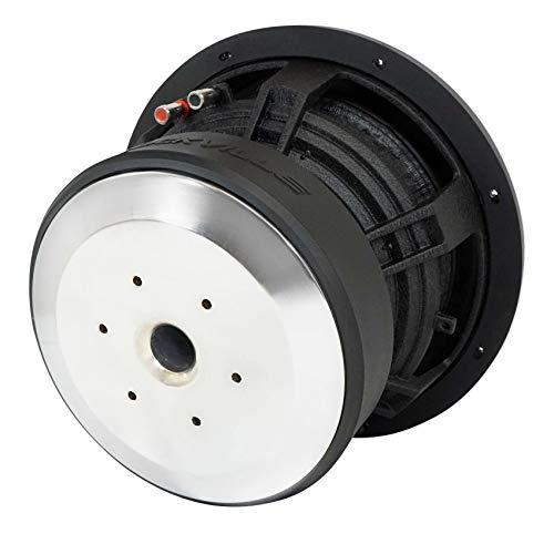 Rockville Rockville Punisher 12D2 12" 5600w Peak Car Audio Subwoofer Dual 2-Ohm Sub 1400w RMS CEA Rated, Black