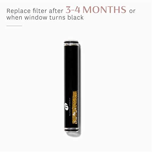 T3 Micro T3 Source Hand-Held Showerhead | Adjustable Hand Held Chrome Shower Head with Chlorine Filter | Mineral Filter Reduces Free Chlorine and Hydrogen Sulfide