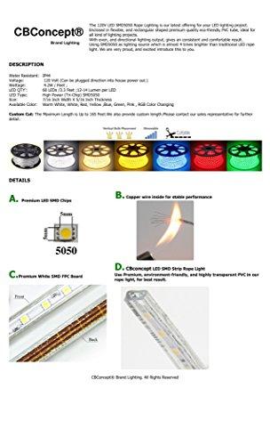 CBconcept CBConcept UL Listed, 3.3 Feet, Super Bright 900 Lumen, Blue, Dimmable, 110-120V AC Flexible Flat LED Strip Rope Light, Commercial Grade, Indoor Outdoor use, Ready to plug n shine