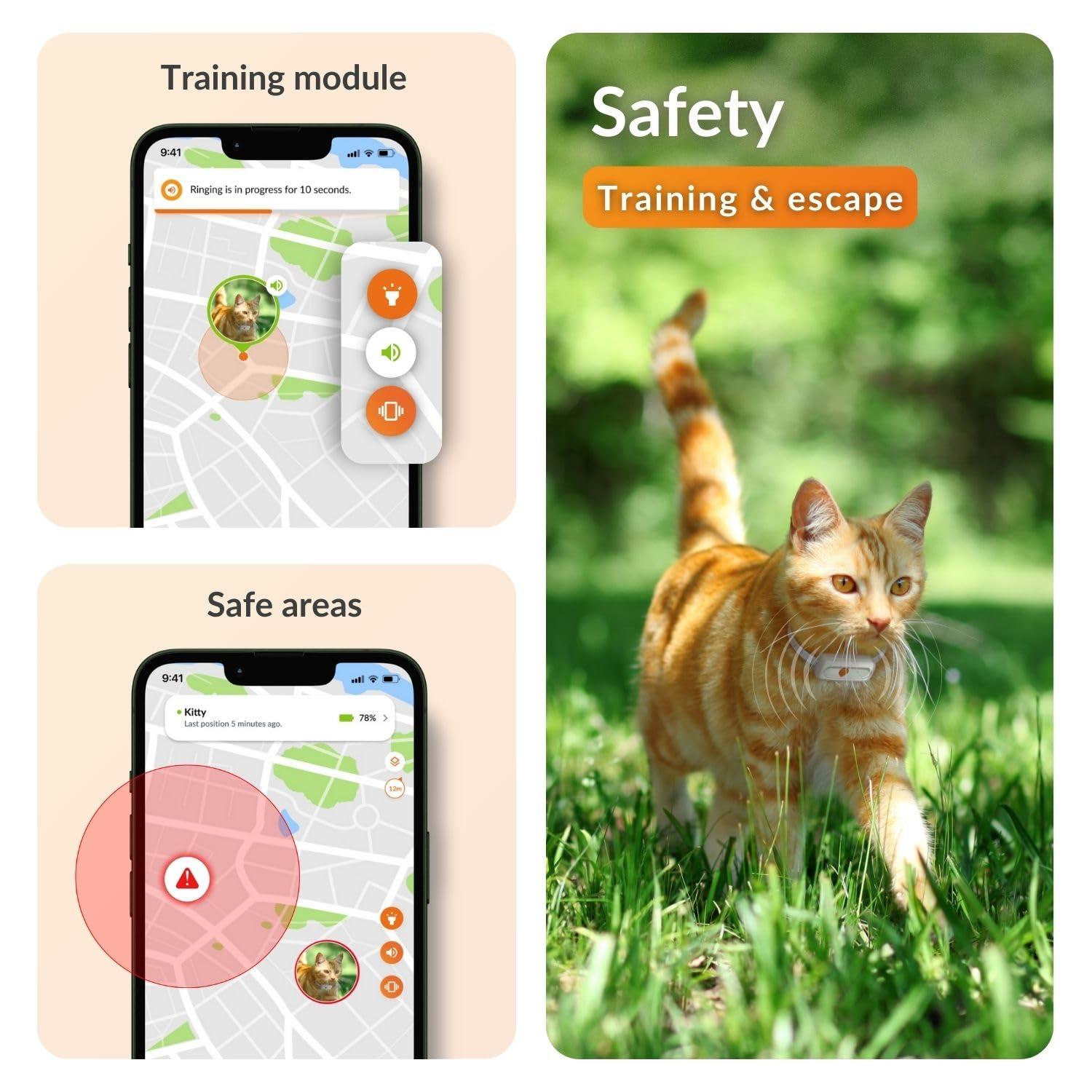 Weenect Weenect Cat XS - New GPS Tracker for Cats | Real-time Mini GPS Tracker for Cats | Smallest Model on The Market | Collar Included | Including Free 3 Months Subscription