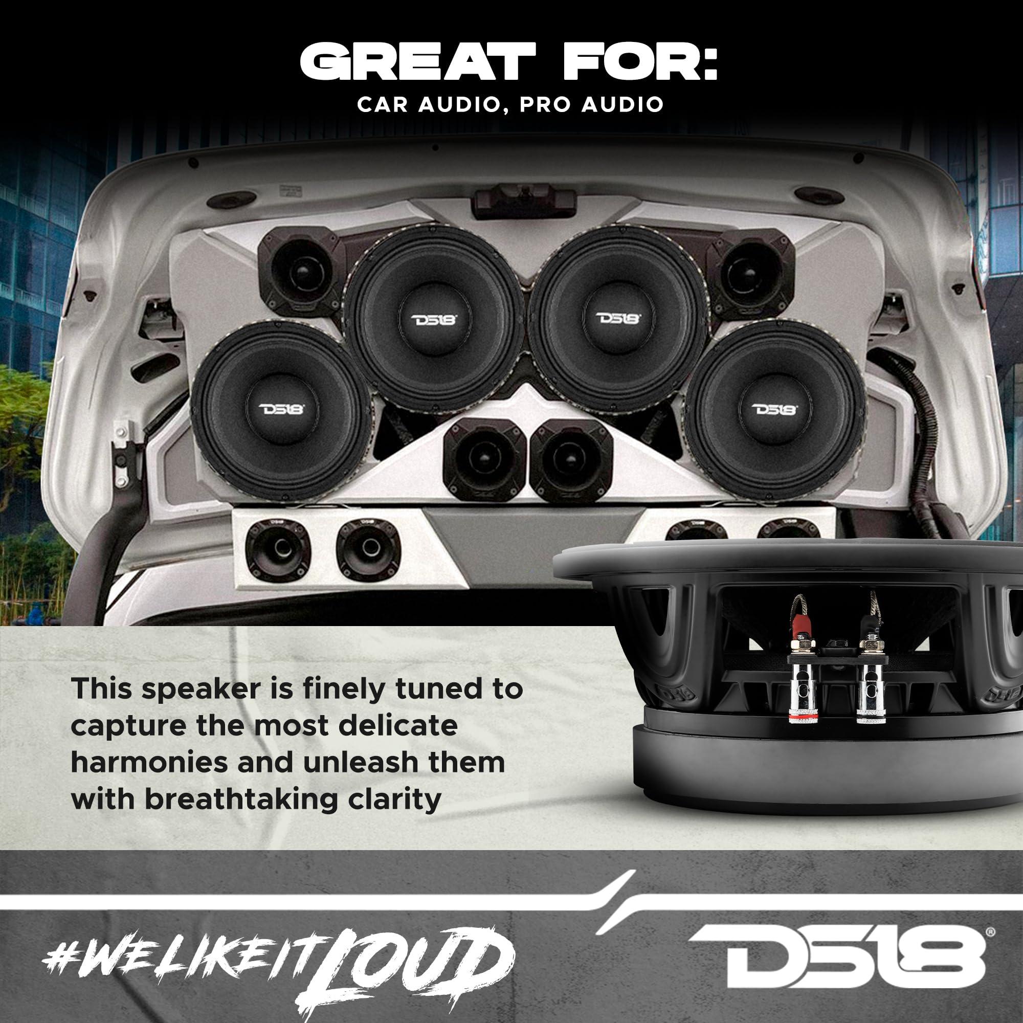 DS18 DS18 10XL1400-4 PRO 10" Mid-Range Loudspeaker 700 Watts Rms 4 Ohm 3.5" Voice Coil Dual Layers for High-Performance Midrange Speaker for Car/Truck Stereo Sound System