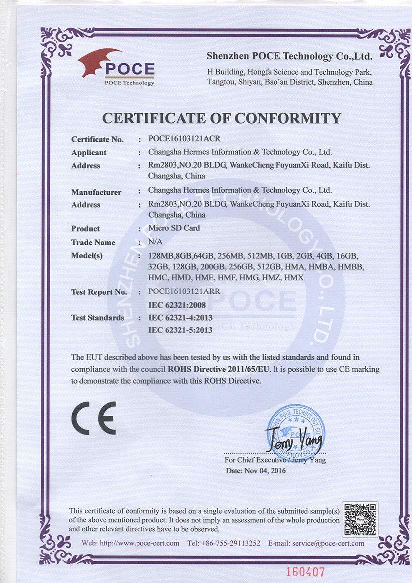 Cloudisk Micro SD Card 2GB Pack of 2 Flash Memory Card Class 6 with SD Adapter MicroSD TF Card (2 GB)