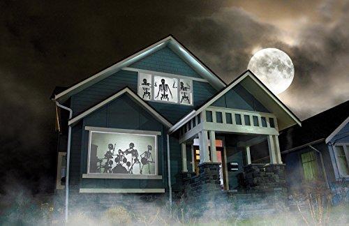 Reaper Brothers Lighting AtmosFear FX Ghostly Apparitions & Bone Chillers DVD Plus Reaper Brothers High Resolution Rear Projection Screen for Virtual Halloween Window Projection Movies