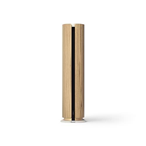 Bang & Olufsen Bang & Olufsen Beosound Emerge Bookshelf Wi-Fi Speaker, Gold Tone/Light Oak