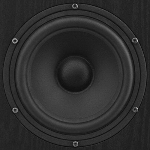 Fluance Fluance Elite High Definition Two-Way Floorstanding Loudspeakers for 2-Channel Stereo Listening or Home Theater System - Black Ash/Pair