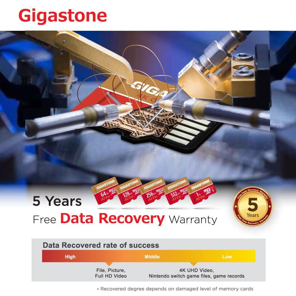 Gigastone [5-Yrs Free Data Recovery] GIGASTONE 256GB 2-Pack Micro SD Card, 4K Game Pro, A2 V30 MicroSDXC Memory Card for Nintendo-Switch, 4K UHD Video, Up to 100/60 MB/s, UHS-I U3 C10 with Adapter