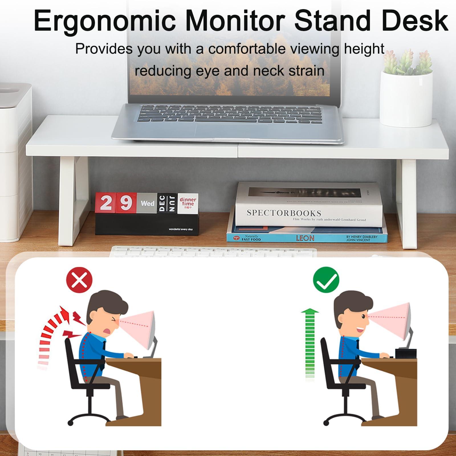 TEAMIX TEAMIX 24 inch Monitor Stand Riser, White Wood & Steel Computer Monitor Stand with Storage, Laptop, PC, Printer Stand Riser for Desktop Office Desk Organizers