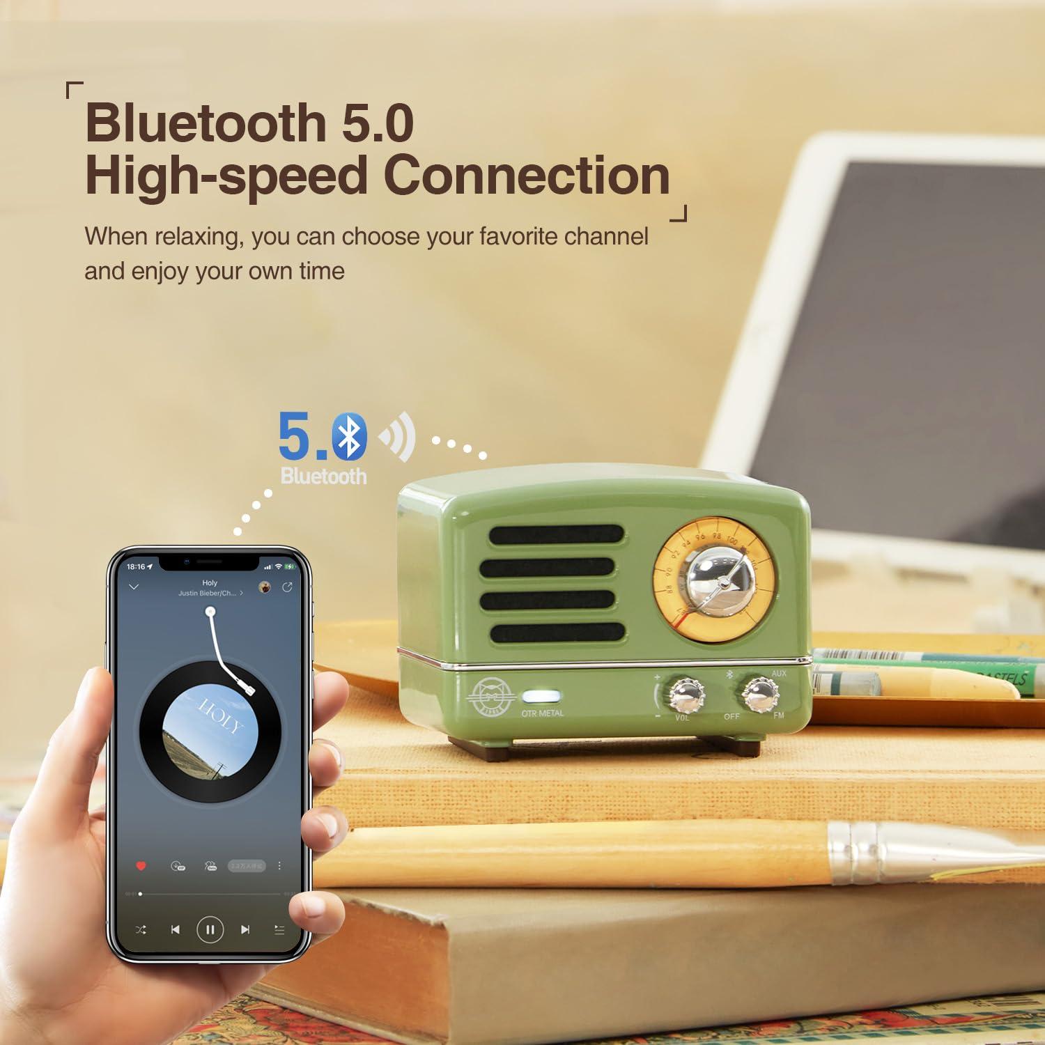 Muzen Muzen Portable Bluetooth Speaker, OTR Metal Vintage Small Wireless Speaker, FM Retro Radio with Antenna AUX, High Fidelity Stereo Audio with Suitcase, for Gift Home Outdoor