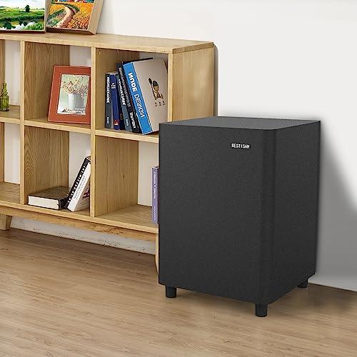 BESTISAN BESTISAN 6.5’’ Subwoofer, Powered Home Audio Sub woofer with Deep Bass in Compact Design, for Studio and Home Theater, Black,SW65C
