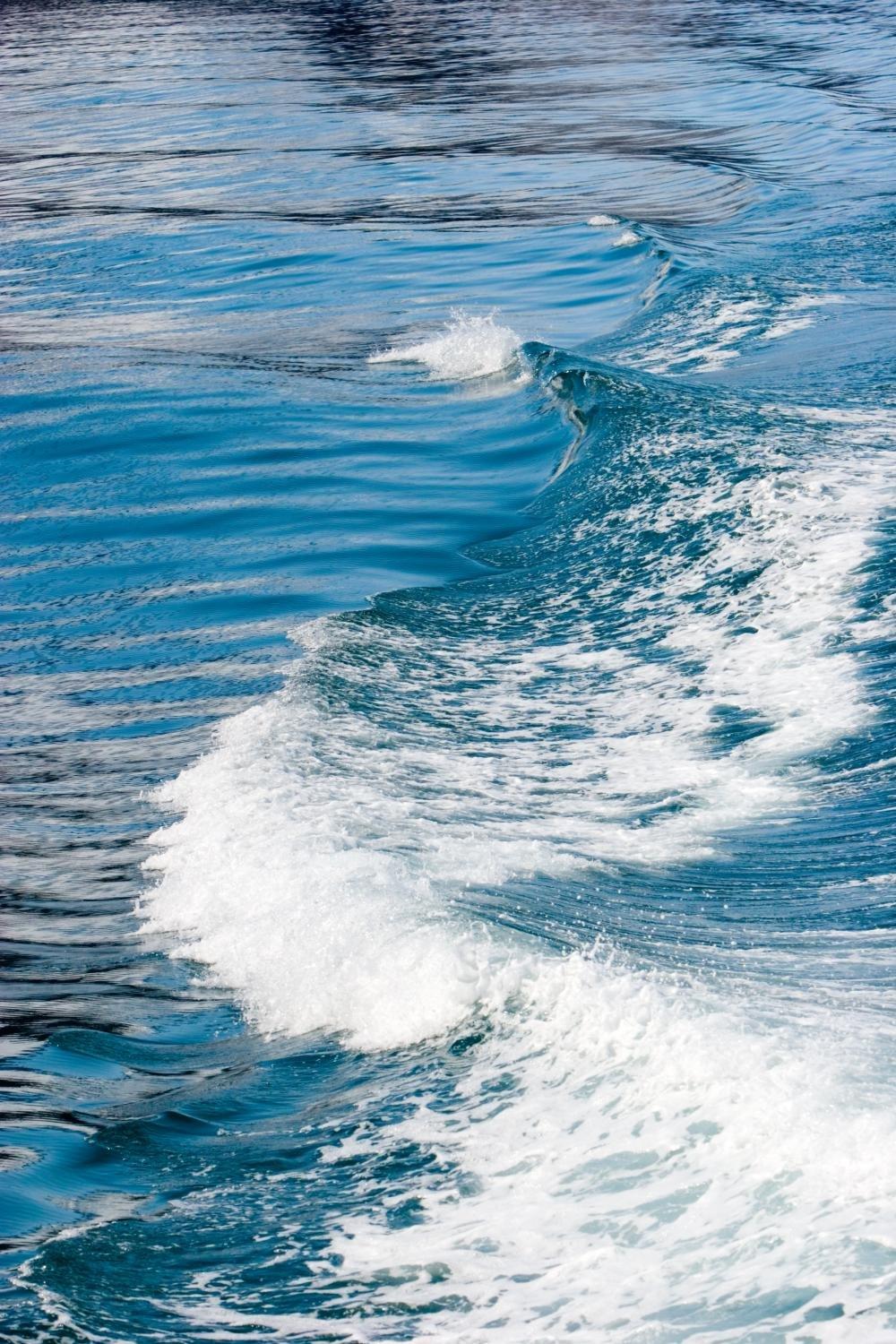 Brother Brother TZ Photo-Safe Tape Cartridge for P-Touch Labelers 1/2w Black on White BRTTZEAF231