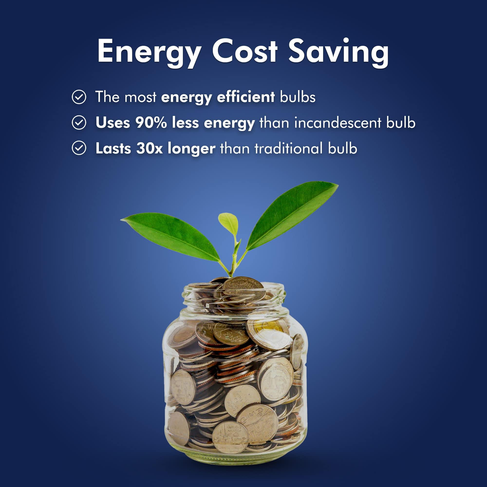 Xtricity Xtricity R14 Dimmable LED Light Bulbs, E26 Base, 4.5W (40 Watt Equivalent), 3000k Soft White, 300 Lumens Curio Cabinet Lighting, China Cabinet Lights - Mini Light Bulbs, RoHS Compliant (3 Pack)