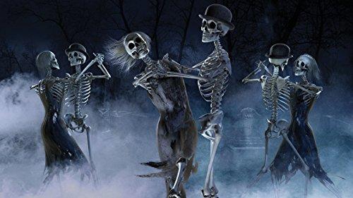 Reaper Brothers Lighting AtmosFear FX Ghostly Apparitions & Bone Chillers DVD Plus Reaper Brothers High Resolution Rear Projection Screen for Virtual Halloween Window Projection Movies