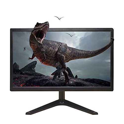 RAYPODO RAYPODO 18.5 inch PC Monitor with VGA Monitor (Black), RPD-1850