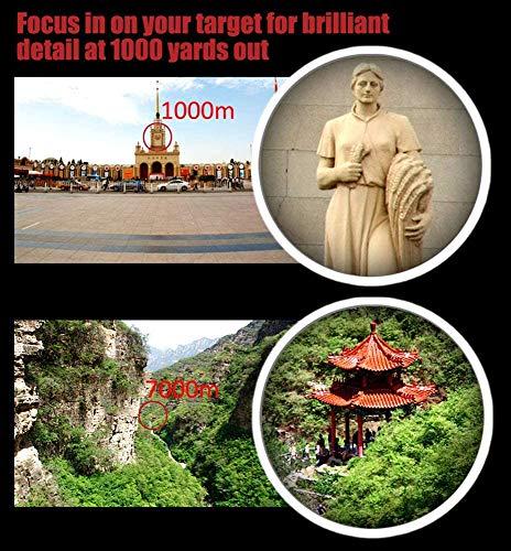 SENMONUS 40x22 Compact Small Binoculars for Adults and Kids, Lightweight Pocket Binoculars for Bird Watching, Travel, Concerts, Sports, Camping and Hiking with Weak Light Night Vision (BAK4 Prism FMC Lens)