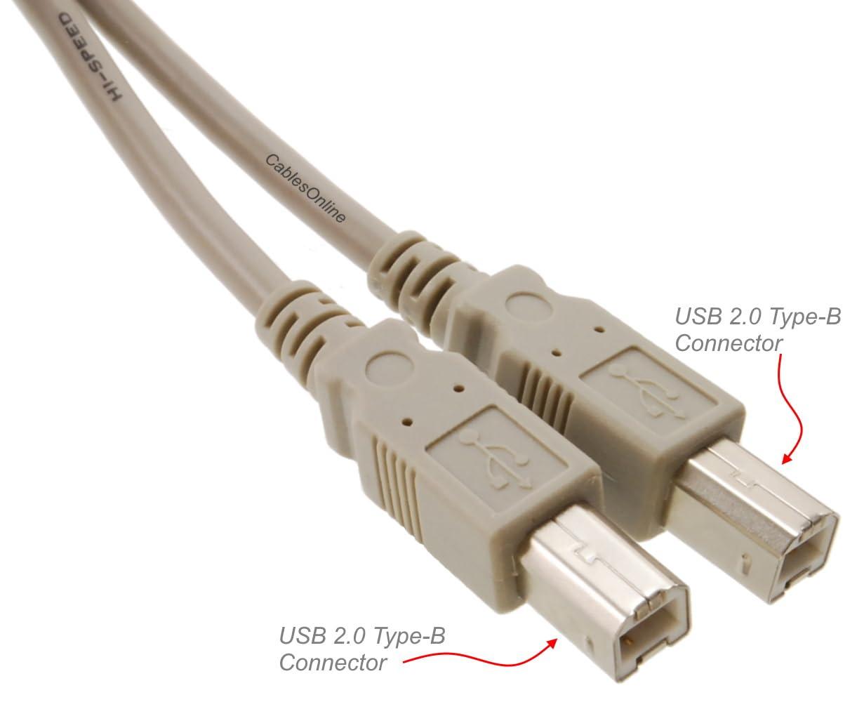CABLESONLINE.COM ATLANTIC COMPUTERTECH CablesOnline 6ft USB 2.0 Type-B Male to Type-B Male Hi-Speed Cable, USB2-BB06