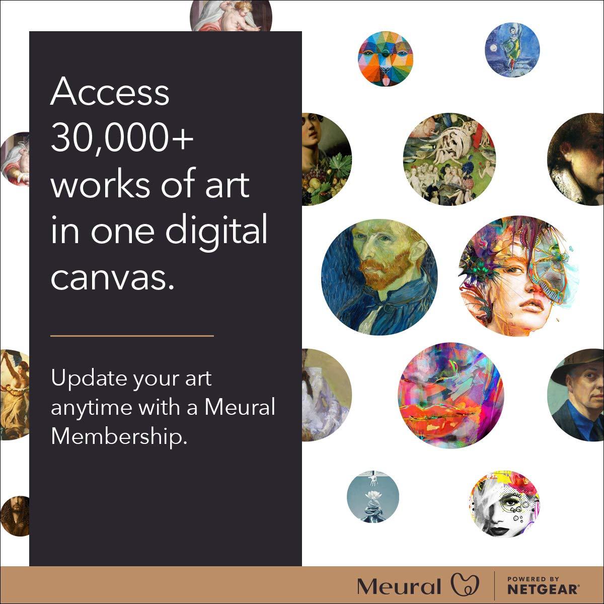 Meural Meural Canvas II – The Smart Art Frame with 21.5 in. HD Digital Canvas That Renders Images and Photography in Lifelike Detail | 16X24 Black Frame | WiFi-Connected | Powered by NETGEAR (MC321BL)