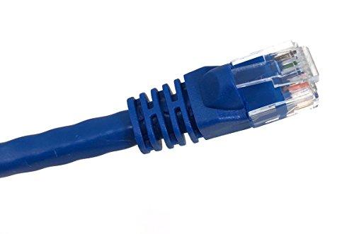 MICRO CONNECTORS Micro Connectors, Inc. 100 feet Cat 6 Molded UTP Snagless RJ45 Networking Patch Cable - Blue (E08-100BL)