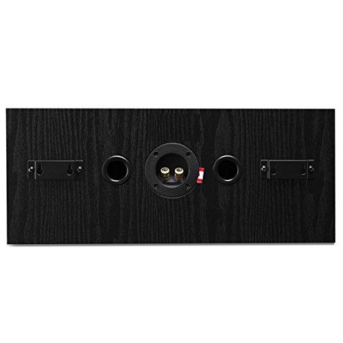Fluance Fluance Signature HiFi 2-Way Center Channel Speaker for Enhanced Dialogue and Vocals in Home Theater Surround Sound Systems - Black Ash (HFC)