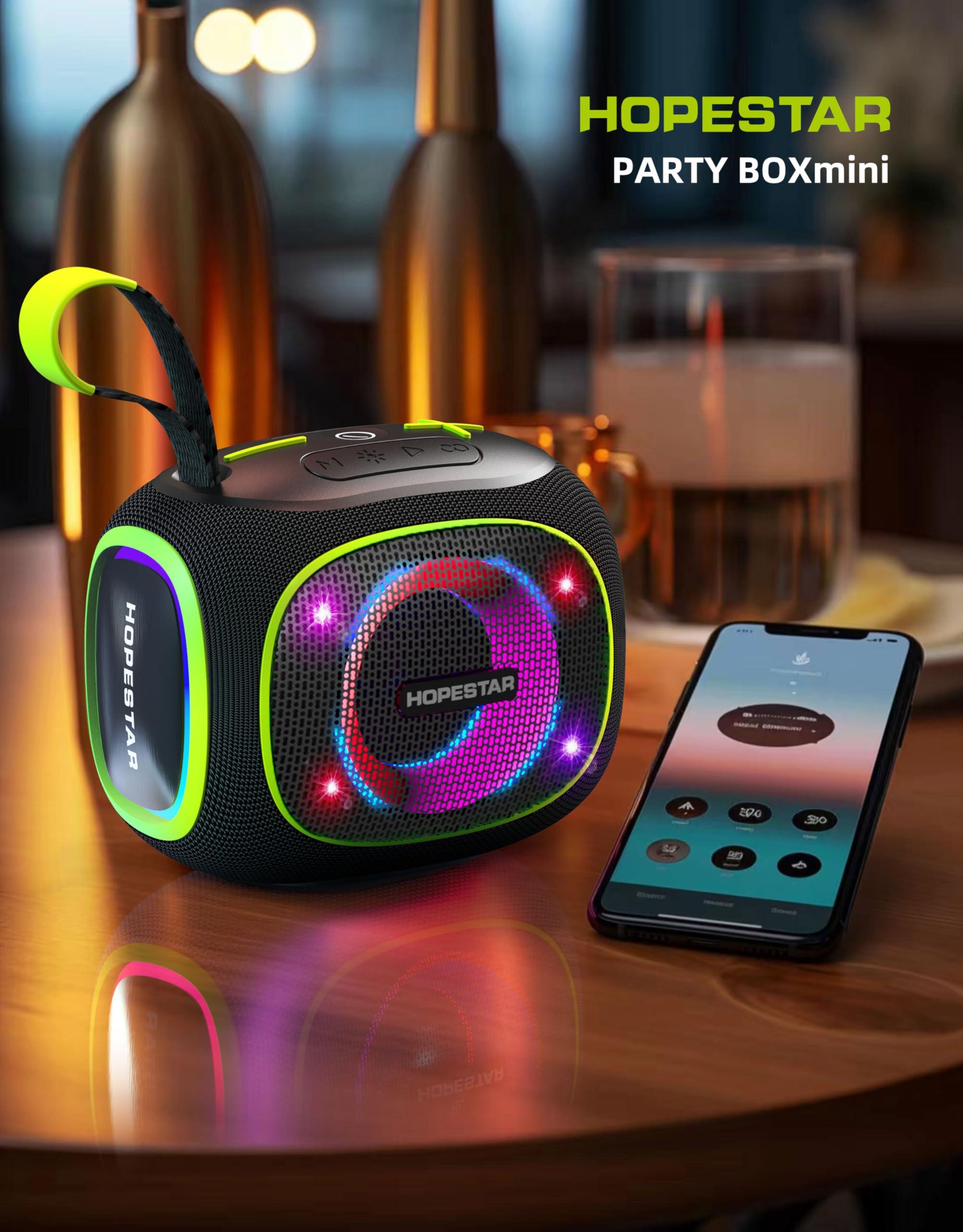 WorryFree Gadgets WorryFree Gadgets 10W Waterproof Mini Wireless Bluetooth Speaker, 2400mAh (Black)