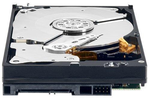 Western Digital Western Digital Caviar Black 1 TB Bulk/OEM Hard Drive 3.5 Inch, 32 MB Cache, 7200 RPM SATA II WD1001FALS