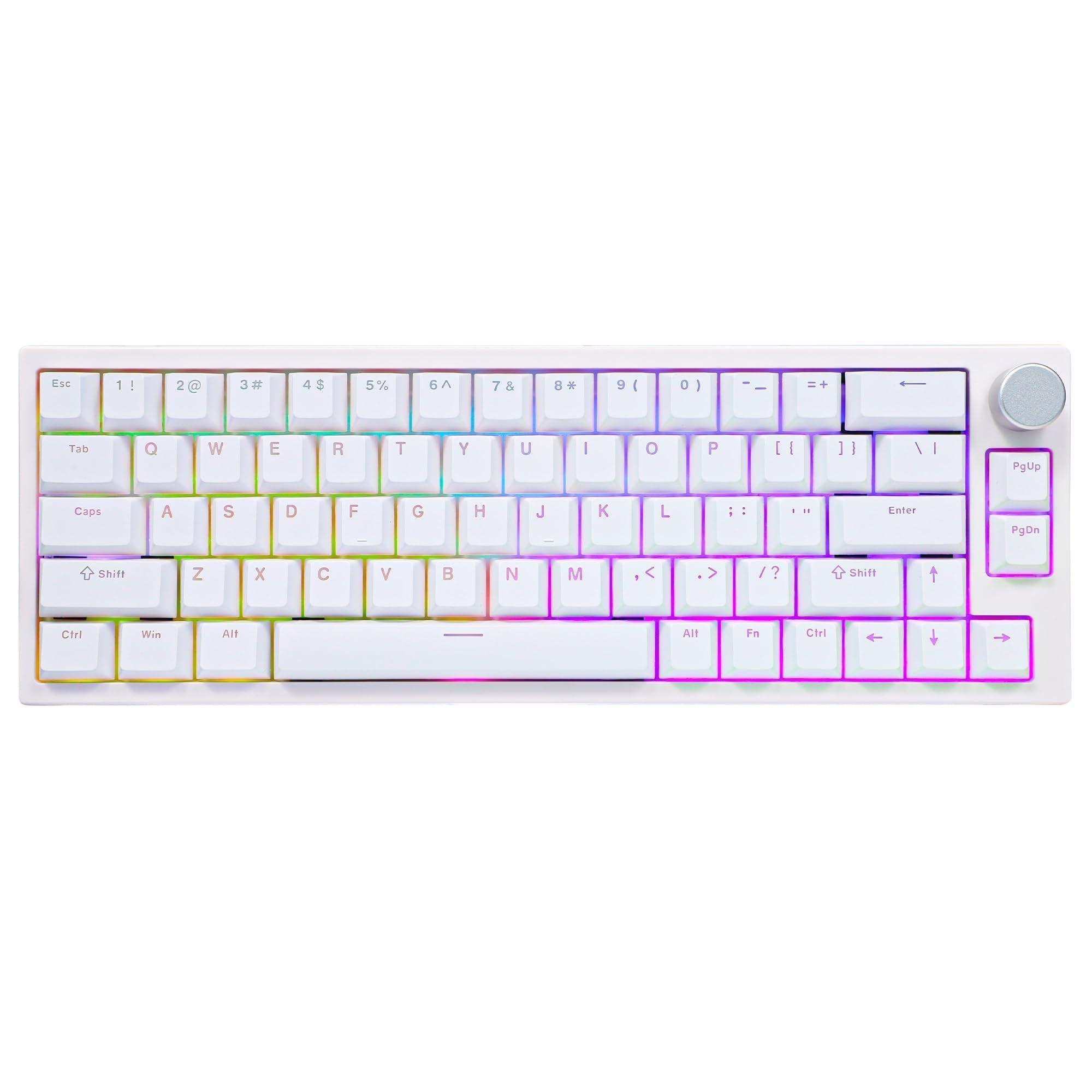 BOYI BOYI 66Pro Rapid Trigger Magnetic Switch 65% Mechanical Keyboard,Hall Effect Gasket-Mounted RGB HotSwap Hyper-Fast Adjustable Actuation Wired Compact Gaming Keyboard with Knob(White)