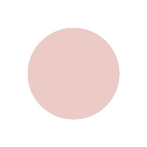 SABRENT SABRENT 512GB Rocket Nano External Aluminum SSD (Pink) (SB-512-NANO-PNK)