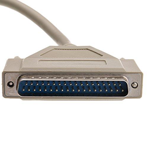 CableWholesale CableWholesale 10 feet Serial Cable, DB37 Male to DB37 Male, 28 AWG, 37 Conductor, 1:1, Beige, Male to Male Serial Cable for Printer, PC, Networks, DB37 Cable, DB37 Male/Male Serial Extension Cable