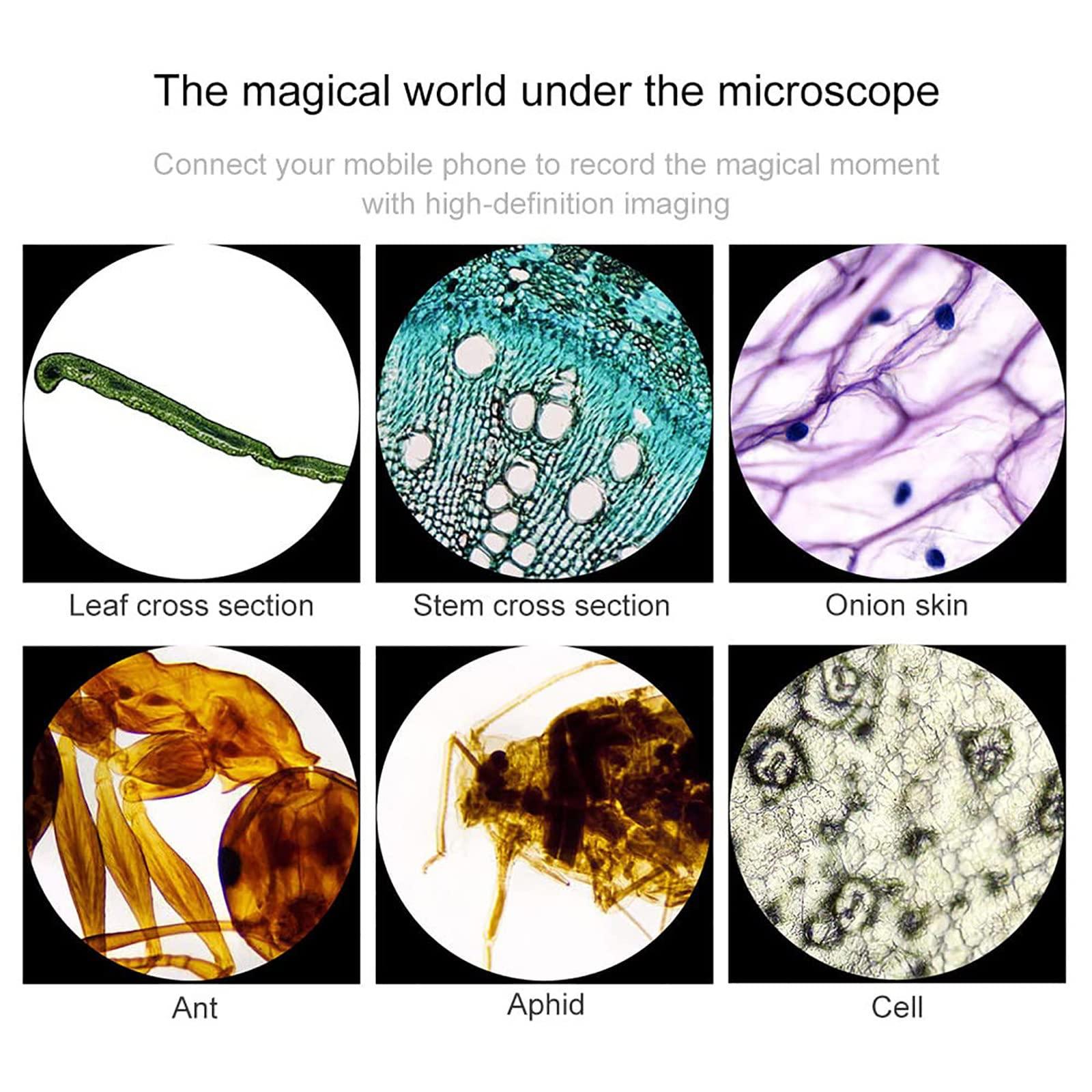 Hoiaost 6000X /10000 X /15000X / 20000X Compound Microscopes, Binocular Biological Microscope, with Mobile Phone Holder, Can Be Connected to A Computer Screen, for Amateur Scientist/Hobbyist,15000X