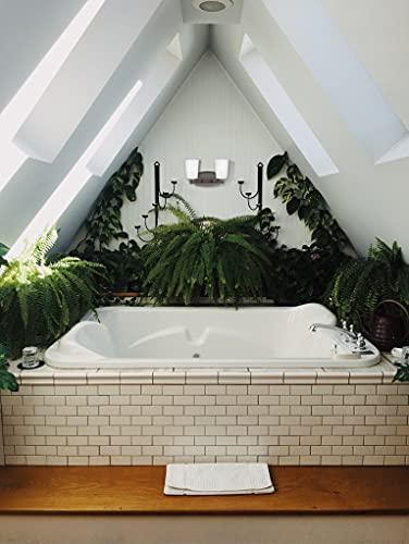 Sea Gull Lighting Sea Gull Lighting Generation 4428902-710 Transitional Two Light Wall/Bath from Seagull-Franport Collection in Bronze/Dark Finish, Burnt Sienna