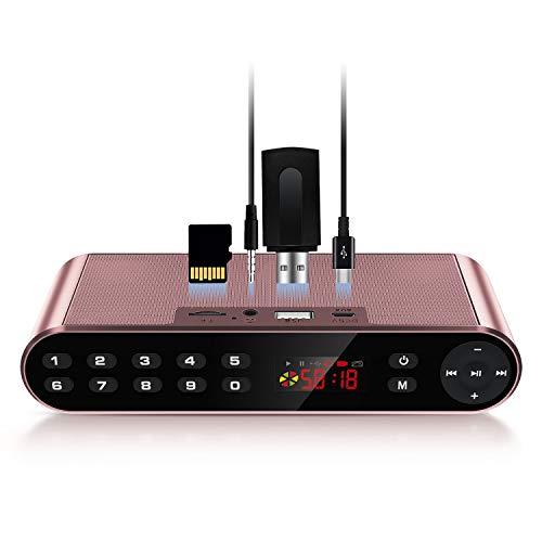 Antimi Antimi Bluetooth Speaker,FM Radio Player,MP3 Player Stereo Portable Wireless Speaker Drivers with HD Sound, Built-in Microphone, High Definition Audio and Enhanced Bass(Black) (Pink)