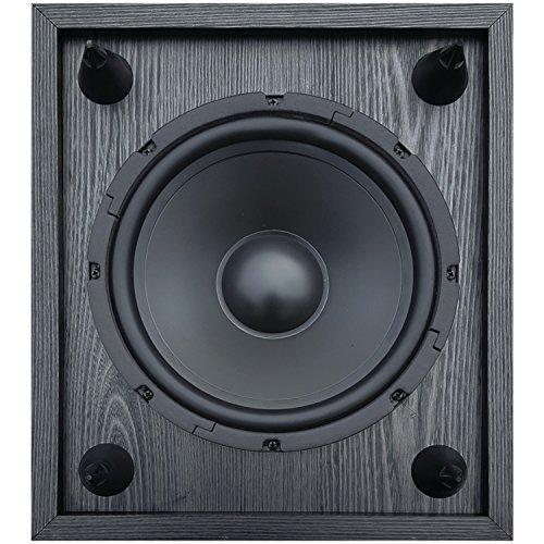 BIC BIC America V-1220 12-Inch 430-Watt Down-Firing Powered Subwoofer
