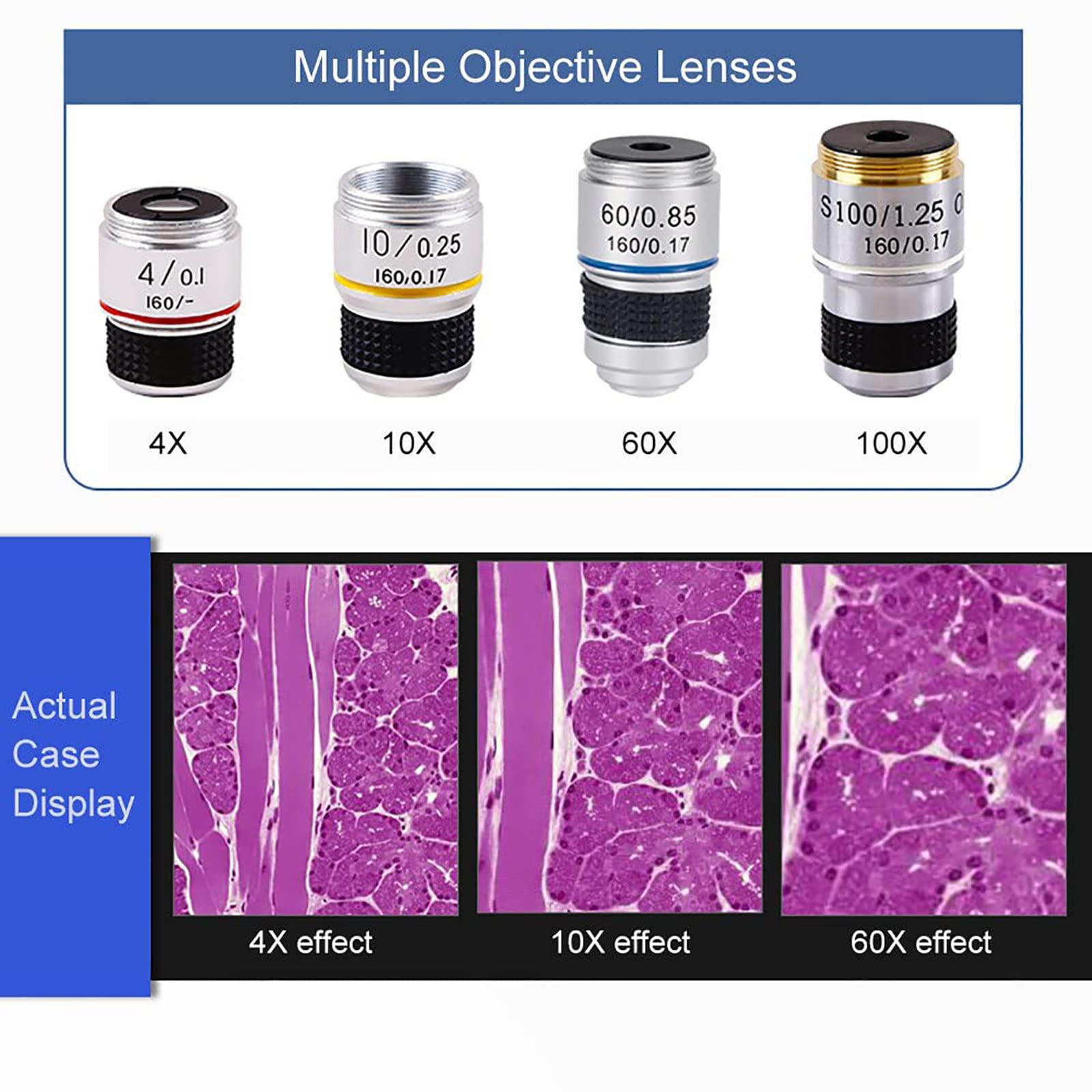 Hoiaost 6000X /10000 X /15000X / 20000X Compound Microscopes, Binocular Biological Microscope, with Mobile Phone Holder, Can Be Connected to A Computer Screen, for Amateur Scientist/Hobbyist,15000X