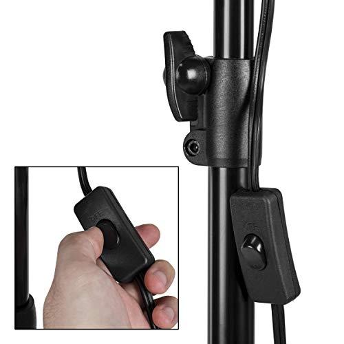 Flashpoint CLAR 2-Light SoftBox Kit, Fluorescent Lamps 5500K Bulbs, Stands & Carrying Case - Continuous Cool Lights