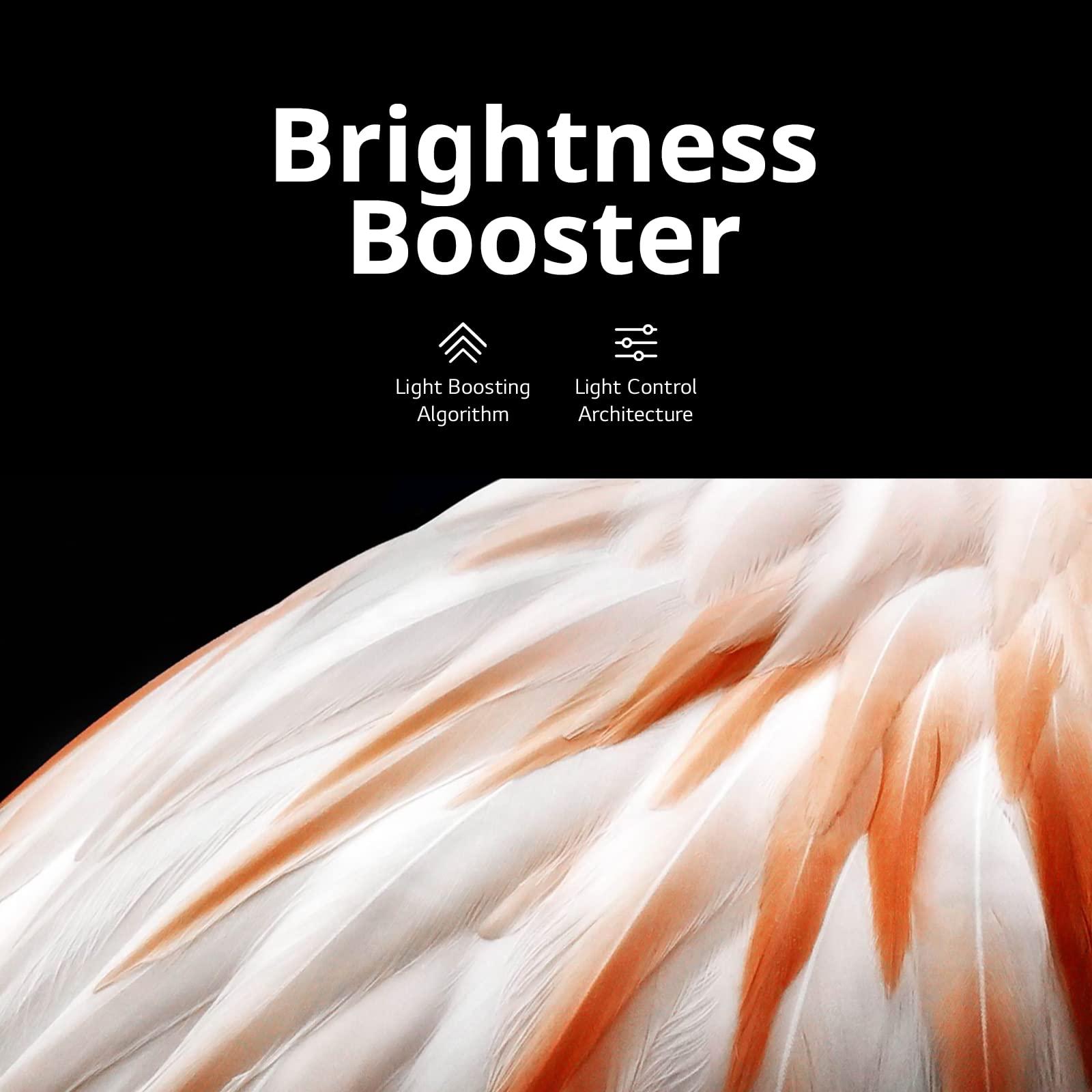 LG LG C3 Series 65-Inch Class OLED evo 4K Processor Smart Flat Screen TV for Gaming with Magic Remote AI-Powered OLED65C3PUA, 2023 with Alexa Built-in