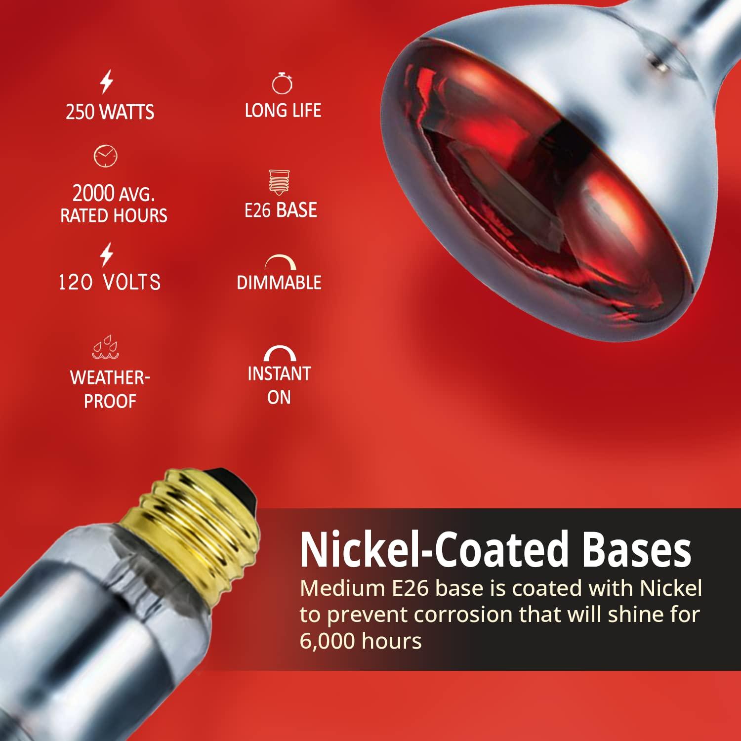 BULBMASTER BULBMASTER 250 Watts R40 Red Heat Lamps Outdoor Bulbs for Pets Flood Light Bulb for Chickens Infrared Reflector 250W R40 Incandescent Medium E26 Base 2 Pack