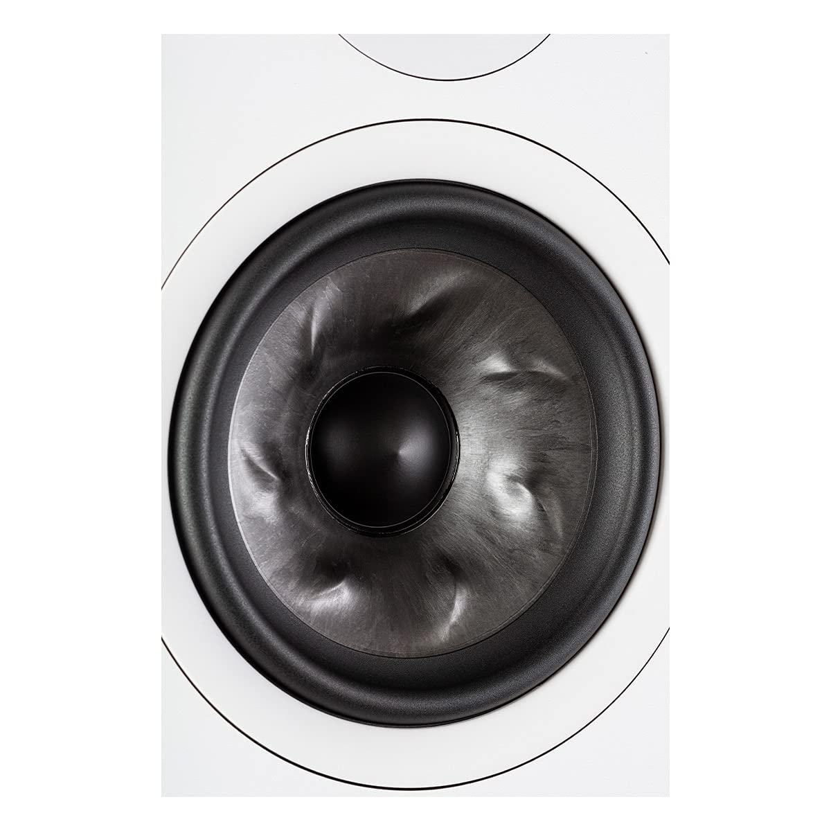 Polk Audio Polk Audio Reserve Series R600 Tower Speaker, 1\" Pinnacle Ring Tweeter & Dual 6.5\" Turbine Cone Woofers, Hi-Res Certified, Dolby Atmos & IMAX Enhanced for Dynamic Home Theater Audio, White